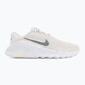 Scarpe da allenamento uomo Nike Flex Train phantom/white/sail/pencil point 2