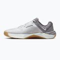 Scarpe da allenamento uomo Nike Metcon 10 photon dust/pencil point/photon dust 2