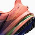 Scarpe da corsa uomo Nike Pegasus Premium racer blue/atomic pink/volt tint/black 8