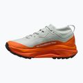 Scarpe da corsa uomo Nike ACG Zegama Trail GORE-TEX light silver/safety orange/summit white 2