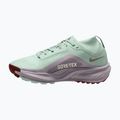 Scarpe da corsa donna Nike ACG Pegasus Trail GORE-TEX Barely Green/Silver Lilac/Light Bone 2