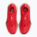 Scarpe da corsa uomo Nike ACG Zegama Trail light crimson/light orewood brown/black/black 4