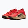 Scarpe da corsa uomo Nike ACG Pegasus Trail GORE-TEX Light Crimson/Linen/Black 3
