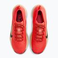 Scarpe da corsa uomo Nike ACG Pegasus Trail GORE-TEX Light Crimson/Linen/Black 5