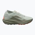 Scarpe da corsa uomo Nike ACG Pegasus Trail GORE-TEX Light Silver/Light Army/Light Silver