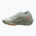 Scarpe da corsa uomo Nike ACG Pegasus Trail GORE-TEX Light Silver/Light Army/Light Silver 2