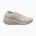 Scarpe da corsa uomo Nike ACG Pegasus Trail GORE-TEX Cream Ii/Light Orewood Brown