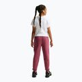 Pantaloni per bambini Nike Sportswear Studio pink smoke/white 3