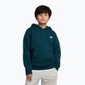 Felpa per bambini New Balance Brush Back Small Logo Hoodie medusa green