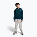 Felpa per bambini New Balance Brush Back Small Logo Hoodie medusa green 2