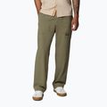 Pantaloni da trekking da uomo Columbia Landroamer Scout stone green