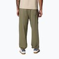 Pantaloni da trekking da uomo Columbia Landroamer Scout stone green 3