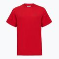Maglietta da uomo Columbia CSC Basic Logo Back Tee mountain red/linework c badge