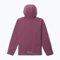 Giacca softshell per bambini Columbia Ascender Hooded Softshell antique mauve 2