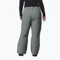 Pantaloni da sci da donna Columbia Bugaboo III sedona sage 3