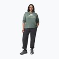 Longsleeve da donna Columbia Parsons Point LS Graphic Tee sedona sage heather/all terrain 2