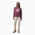 Longsleeve da donna Columbia Parsons Point LS Graphic Tee antique mauve heather/all terrain 2