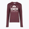Longsleeve da donna Columbia Parsons Point LS Graphic Tee antique mauve heather/all terrain 6
