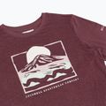 Longsleeve da donna Columbia Parsons Point LS Graphic Tee antique mauve heather/all terrain 8