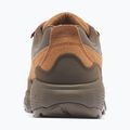 Scarpe da trekking uomo Columbia Newton Alpine Low grizzly bear/red oxide 2