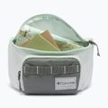 Marsupio cintura Columbia Zigzag II Hip Pack 1 l sedona sage/tea light 3