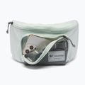 Marsupio cintura Columbia Zigzag II Hip Pack 1 l sedona sage/tea light 4