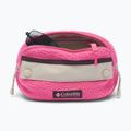 Marsupio cintura Columbia Helvetia II Hip Pack 1 l nico/dark stone 3