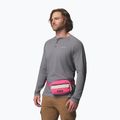 Marsupio cintura Columbia Helvetia II Hip Pack 1 l nico/dark stone 7