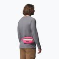 Marsupio cintura Columbia Helvetia II Hip Pack 1 l nico/dark stone 8