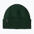 Cappello invernale Patagonia Brodeo treeline green