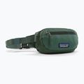 Marsupio cintura Patagonia Terravia Mini Hip canopy green