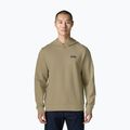 Felpa da uomo Patagonia Daily Hoody weathered stone