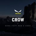 Scarponi da montagna da uomo Salewa Crow GTX wallnut/arancio fluo 12