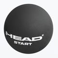 Palla da squash HEAD Start nera 2