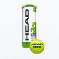 HEAD Tip Verde palline da tennis per bambini 3 pezzi verde