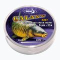 Arrow leader line Katran Galaxy Taper Mono Shock Leader Cast chiaro