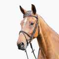 Prestige Italia E87 collare cavallo nero