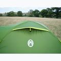 Tenda da campeggio 2-osobowy Coleman Darwin 2 Plus blackout 14