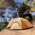 Tenda da campeggio 4 posti Coleman Darwin Summer 4 + beige 9