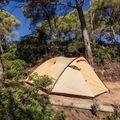Tenda da campeggio 4 posti Coleman Darwin Summer 4 + beige 11
