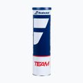 Palline da tennis Babolat Team 4 pz. giallo 2
