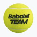 Palline da tennis Babolat Team 4 pz. giallo 3