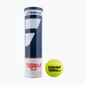 Palline da tennis Babolat Team Clay 4 pz.