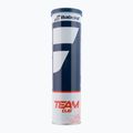 Palline da tennis Babolat Team Clay 4 pz. 2