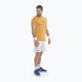 Maglietta da uomo Babolat Exercise Big Flag autumn glory 2