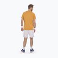 Maglietta da uomo Babolat Exercise Big Flag autumn glory 3