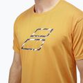 Maglietta da uomo Babolat Exercise Big Flag autumn glory 4