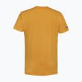 Maglietta da uomo Babolat Exercise Big Flag autumn glory 7