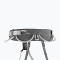 Imbracatura da arrampicata Petzl Corax grigio 3