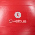 Sveltus Gymball rosso 0430 65 cm 2